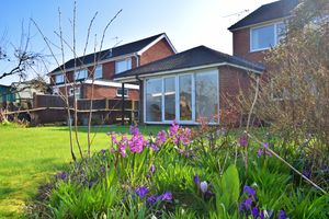 Photo 15- click for photo gallery